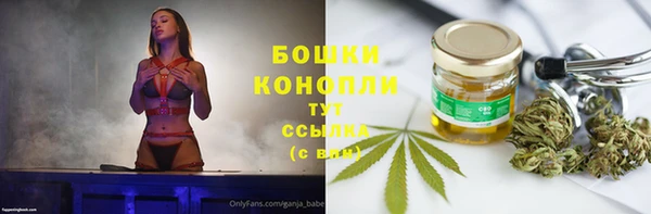 сатива Коряжма