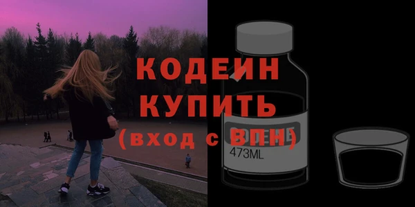 сатива Коряжма