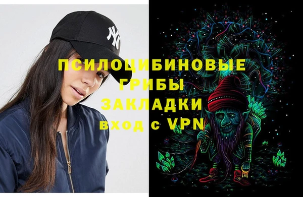прущие крисы Козельск