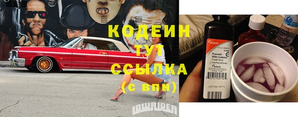 гашик Козловка